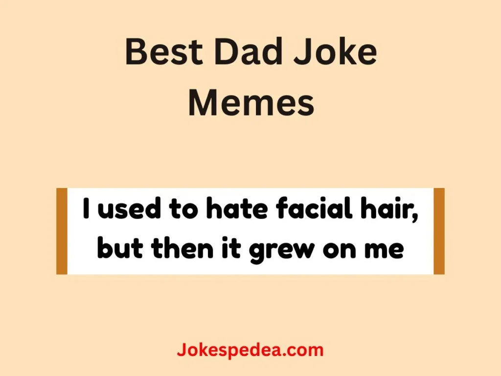 Best Dad Joke Memes