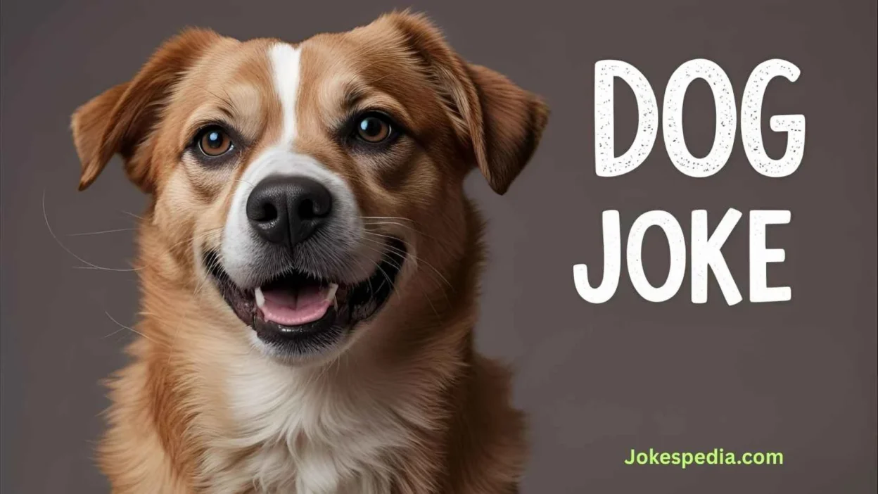 Dog Joke