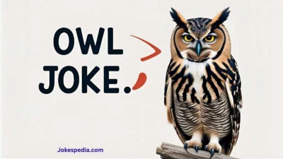 Owl Joke