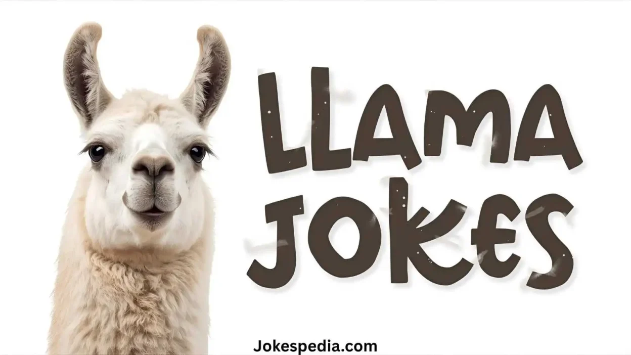Llama Jokes