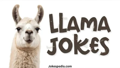 Llama Jokes