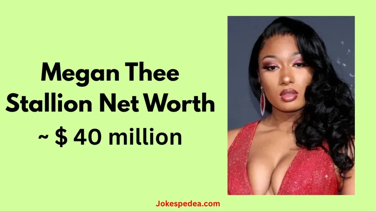 Megan Thee Stallion Net Worth