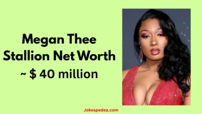Megan Thee Stallion Net Worth